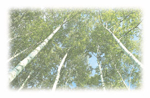 �X�уC���[�W